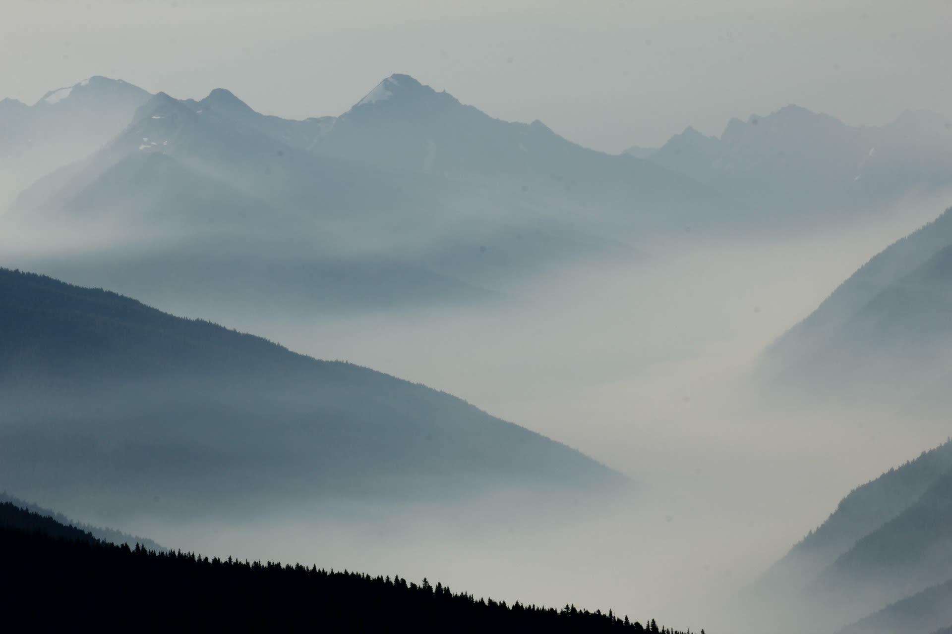 hurricane ridge one of the most scenic hikes on the west coast